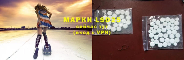 PSILOCYBIN Аркадак