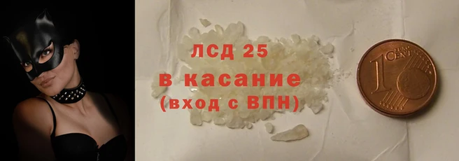 PSILOCYBIN Аркадак