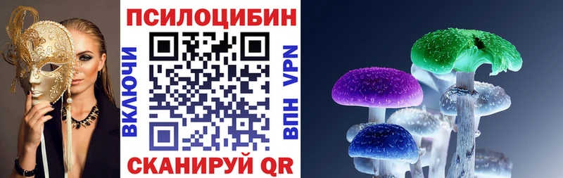 Псилоцибиновые грибы мицелий ссылка на мегу ССЫЛКА Светлогорск